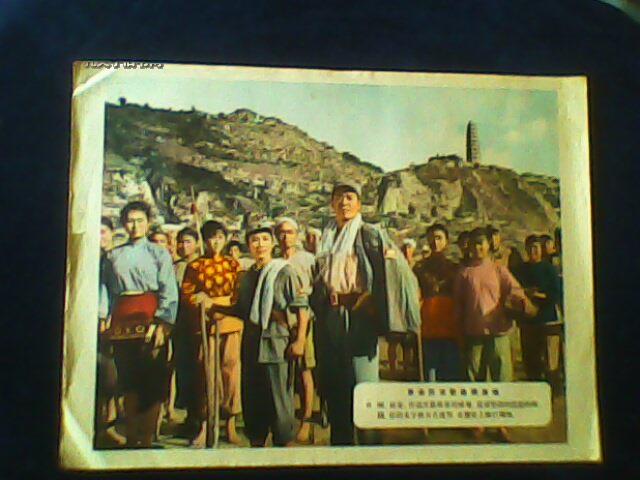 19561mWJam6_b.jpg