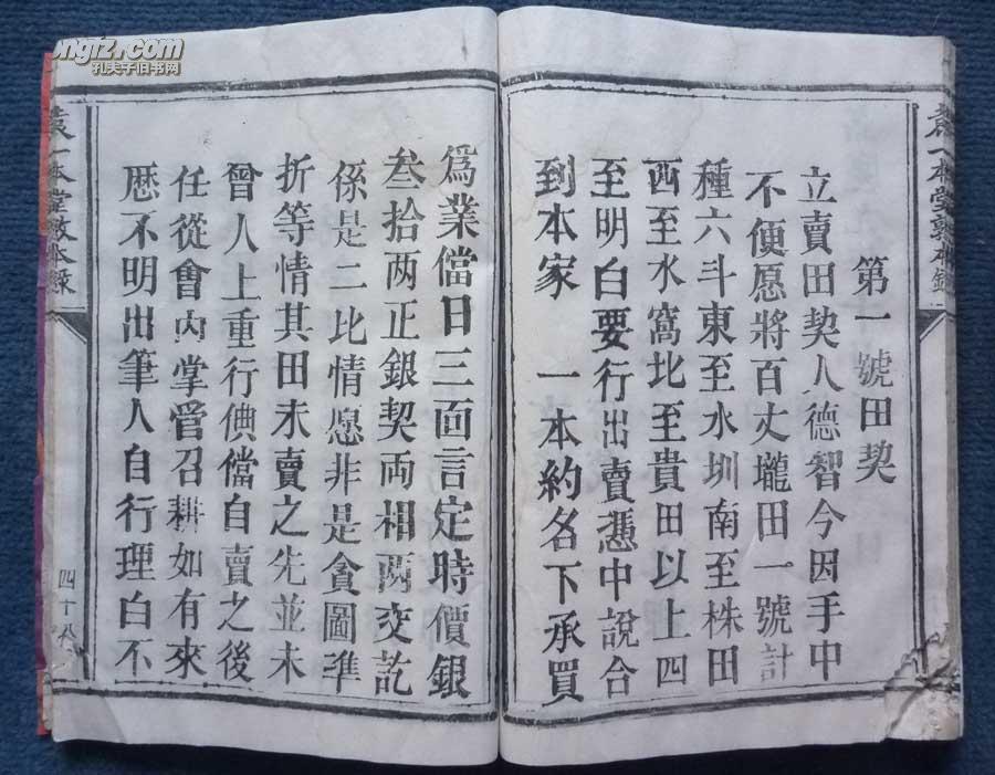 广东袁氏有多少人口_广东骆氏人口分布图