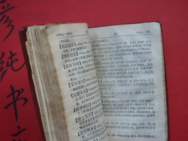 有什么塑成语_什么有什么为成语(3)