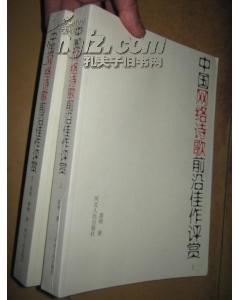 中国网络诗歌前沿佳作评赏