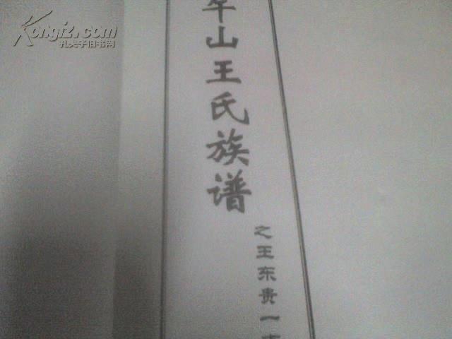 午山王氏族谱--王东贵一支,王东亚一支(2本)