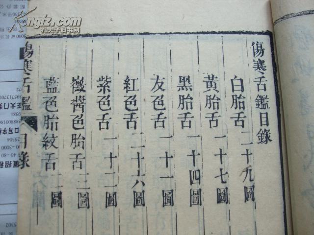 伤寒简谱_伤寒玫瑰疹图片(3)