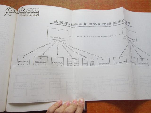百分之一人口抽样调查_百分之一的电量图片(3)