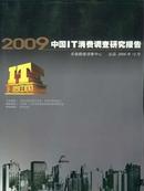 2009中国IT消费调查研究报告
