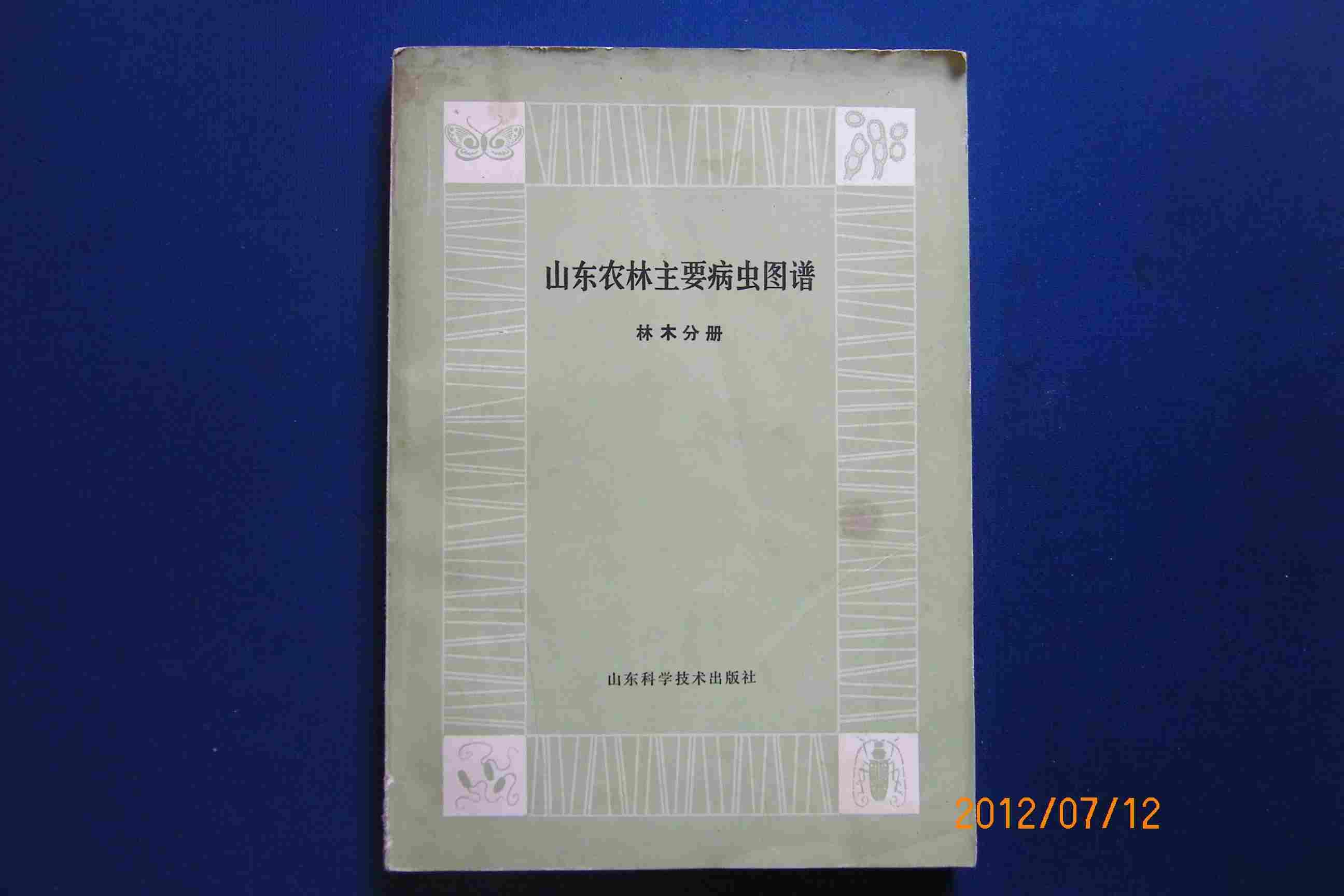 农林简谱_西北农林科技大学(2)