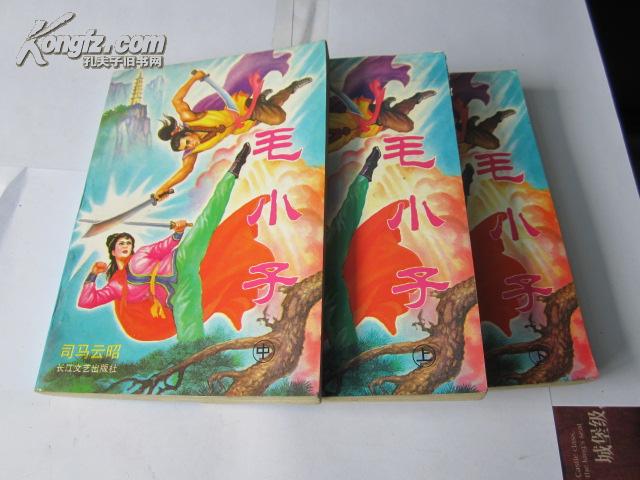 老武侠: 毛小子【上,中,下册】