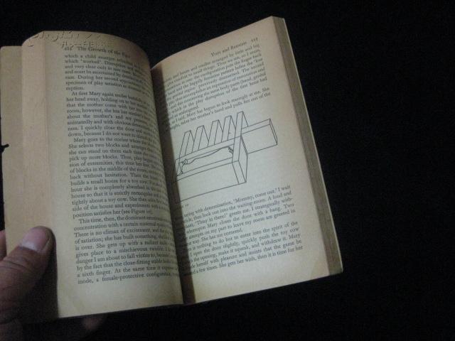 childhood and society(erik h. erikson)英文原版书