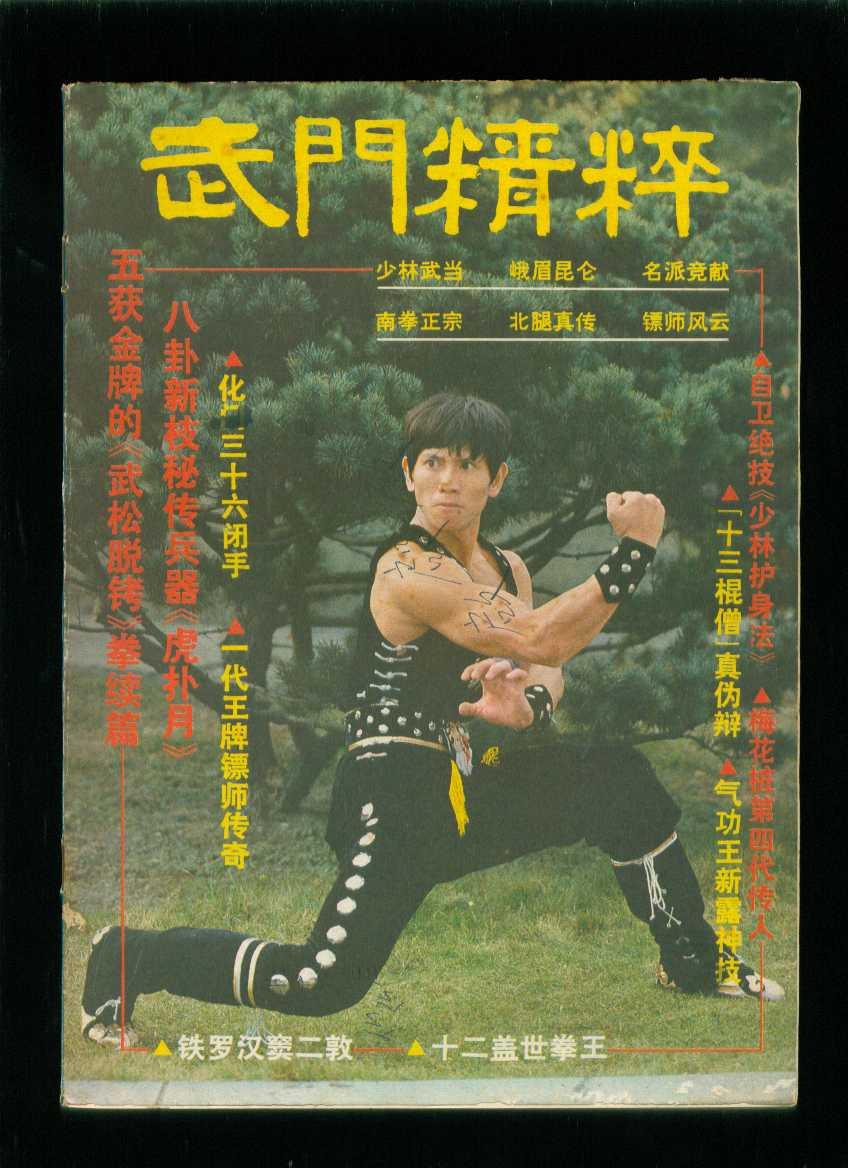 武门 精粹--青年武术特辑(一)