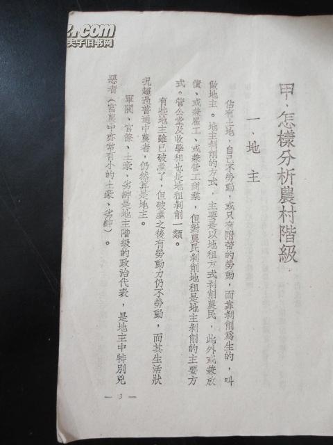 3132002Ss43P0_b.jpg