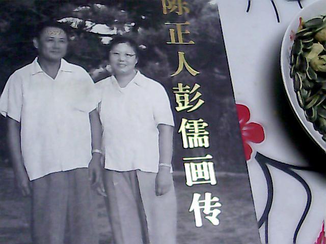 陈正人彭儒画传