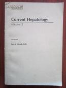 现代肝脏学 第二版 Current Hepatology