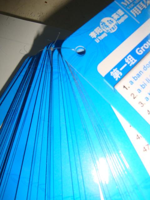 1629521FgLHb0_b.jpg