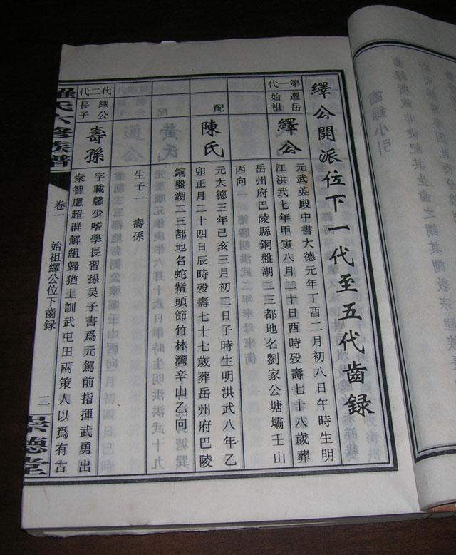 罗氏六修族谱【豫章家乖】一厚册