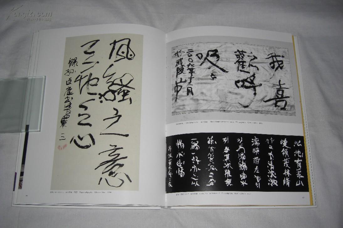 孙平1989—2009(艺术作品集,《不知道》《水》《收购梦想》《中国针灸