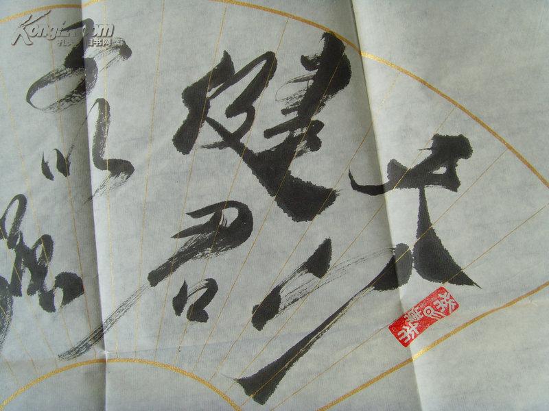 23217375Q4X60_b.jpg