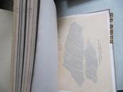 精装外文原版8开巨厚册考古书籍 HADSCHRA MAKTVBA 1925版 卡纸粘贴考古图片160幅