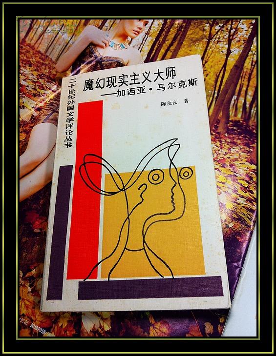 魔幻现实主义大师---加西亚·马尔克斯(二十世纪外国文学评论丛书)