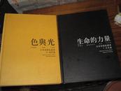 日本美术家丛书：日本画（1）生命的力量 ；西洋画（2）色与光 （2册合售）