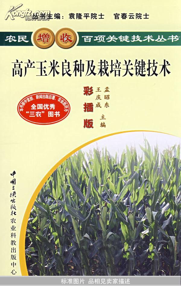 高产玉米良种及栽培关键技术