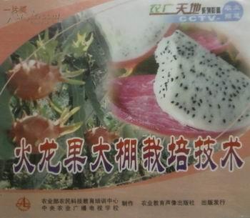 32613614mg390_n.jpg