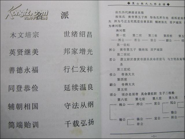 族谱:湖北黄冈地区蕲春县策山张氏九修宗谱(卷35,权祖支下瑜祖房十七