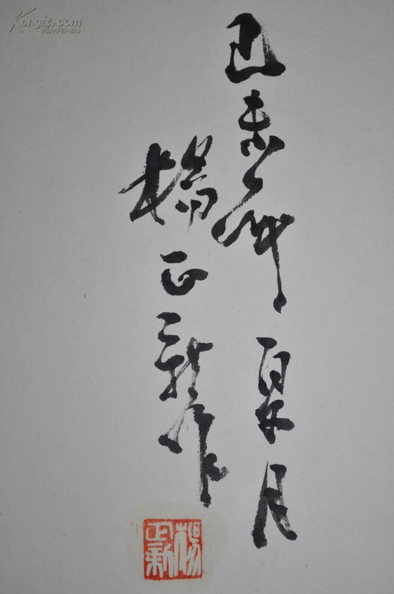 杨正新猫趣图真迹