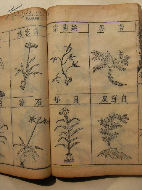 李时珍先生原本万方针线并刻本草纲目:本草纲目序目图一卷(补录a参考