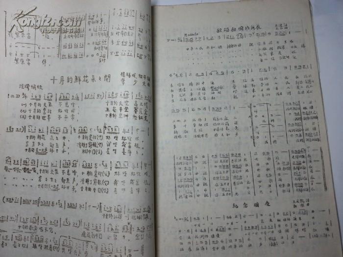 夫妻识字简谱_一年级识字小报(2)