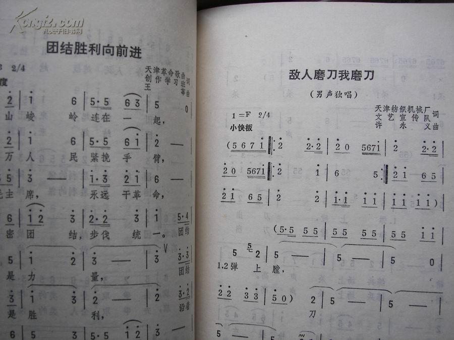 18151457sLat2_b.jpg