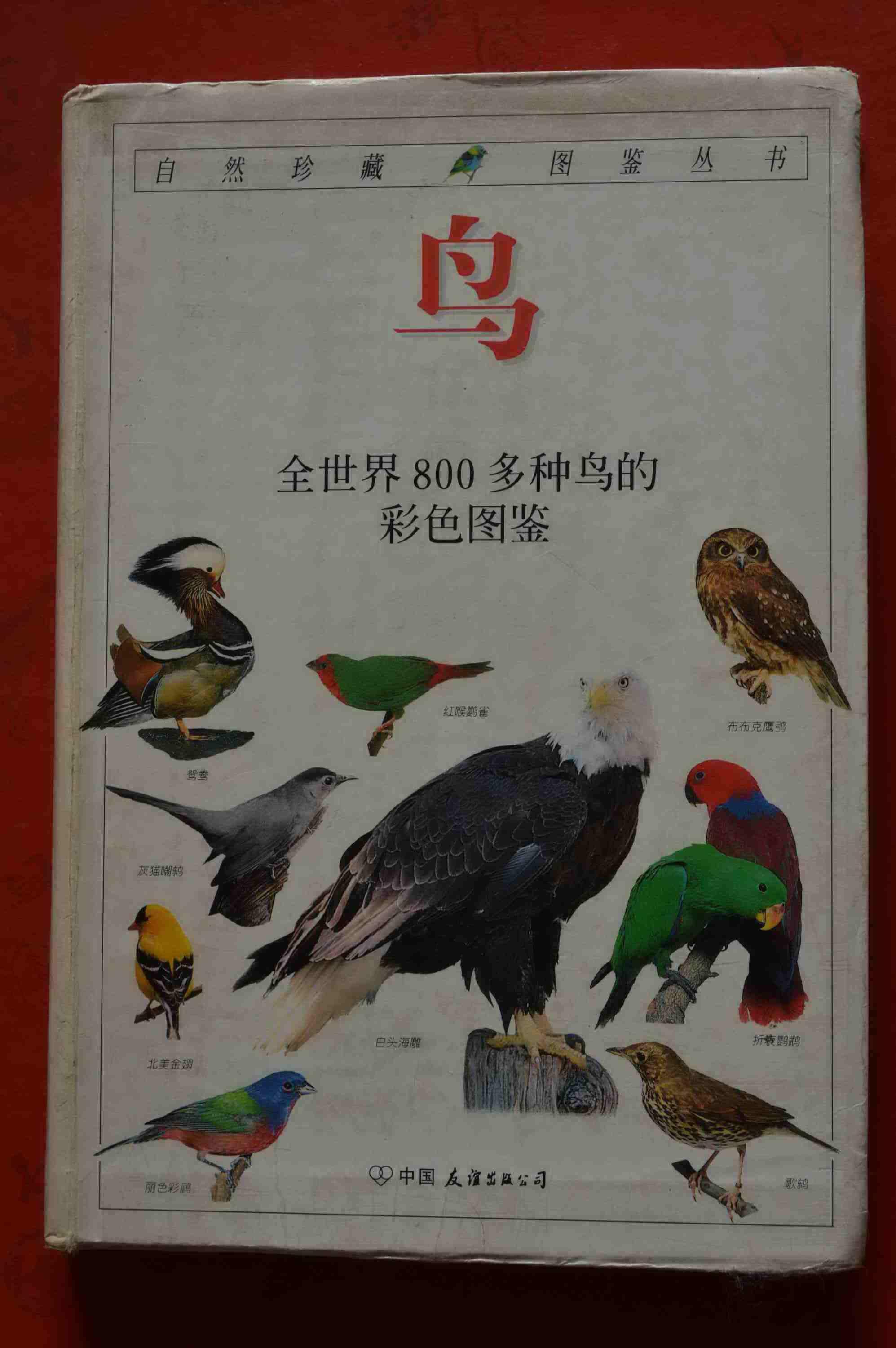 鸟全世界800多种鸟的彩色图鉴