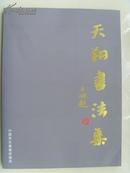 张天翔：《天翔书法集》（贾平凹题）誉为“书坛怪杰”/应邀在国内15个省市讲学献艺-30