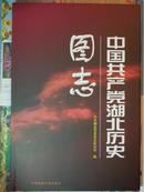中国共产党湖北历史图志   8开  精装