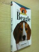 An owner\s guide to The Beagle【小猎犬主人指南，英文原版，精美彩色图文本】