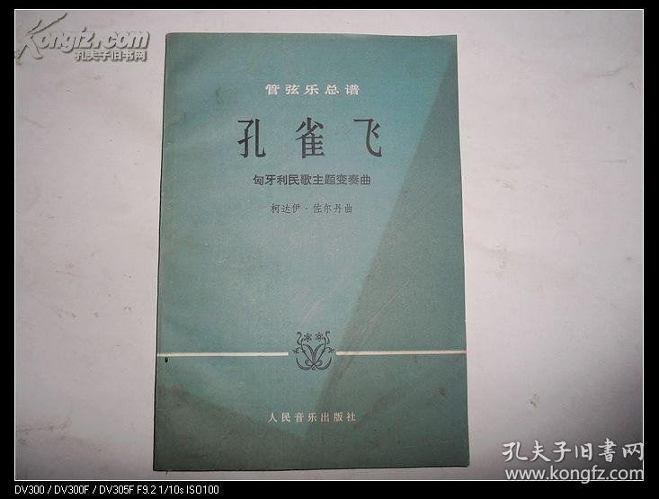 匈牙利民歌简谱_匈牙利舞曲第五号简谱(3)