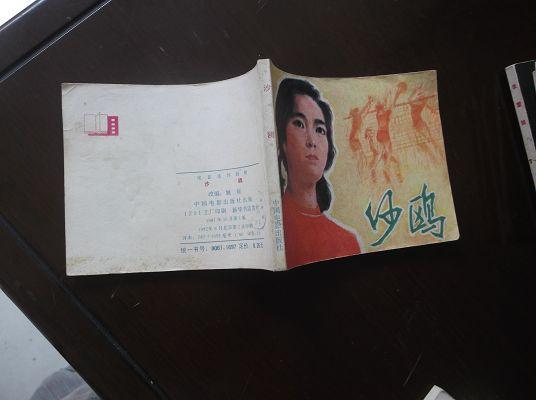 60开电影版 沙鸥 9品