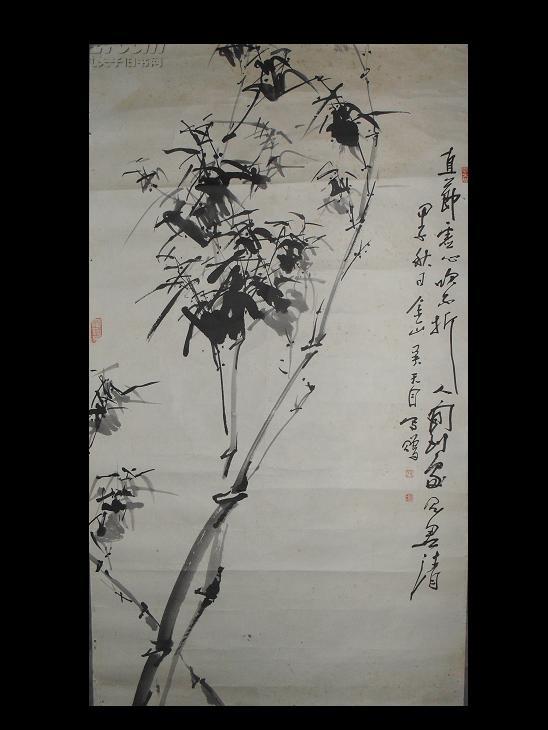 吴明--精品竹子