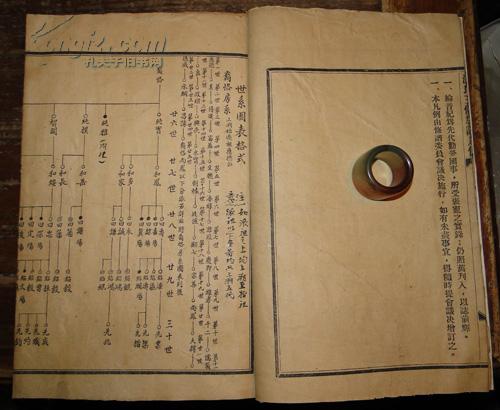 举报             新化游氏五修族谱委员会