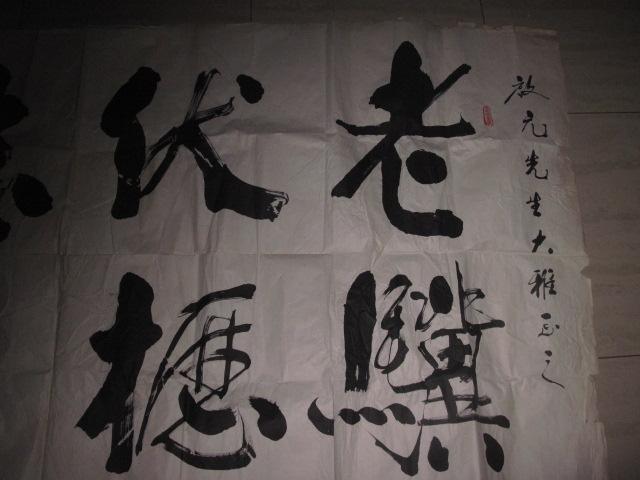103673dm65d0_b.jpg
