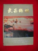 武昌县志【精装带书衣，一版一印】