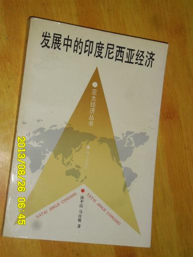 发展中的印度尼西亚经济