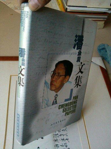 潘承洞文集(16开精装 护封) 初版