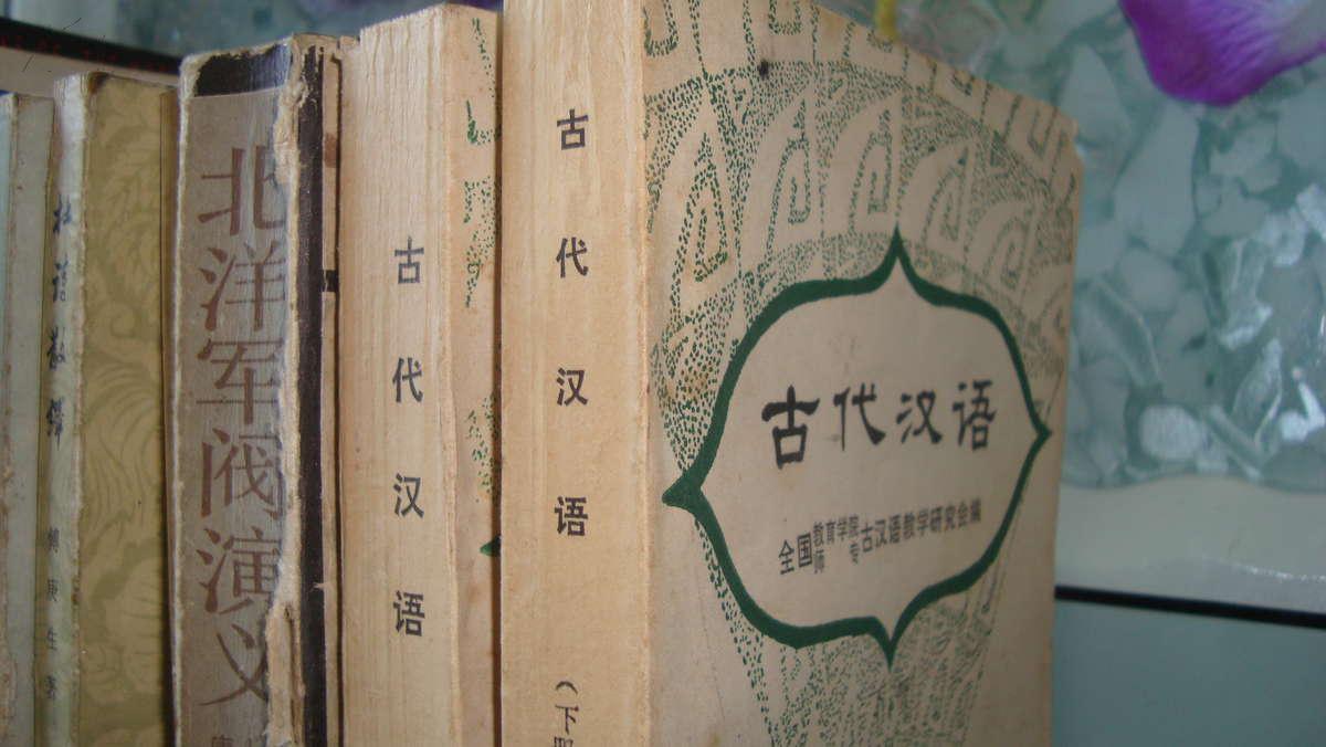 古代汉语 上下 全