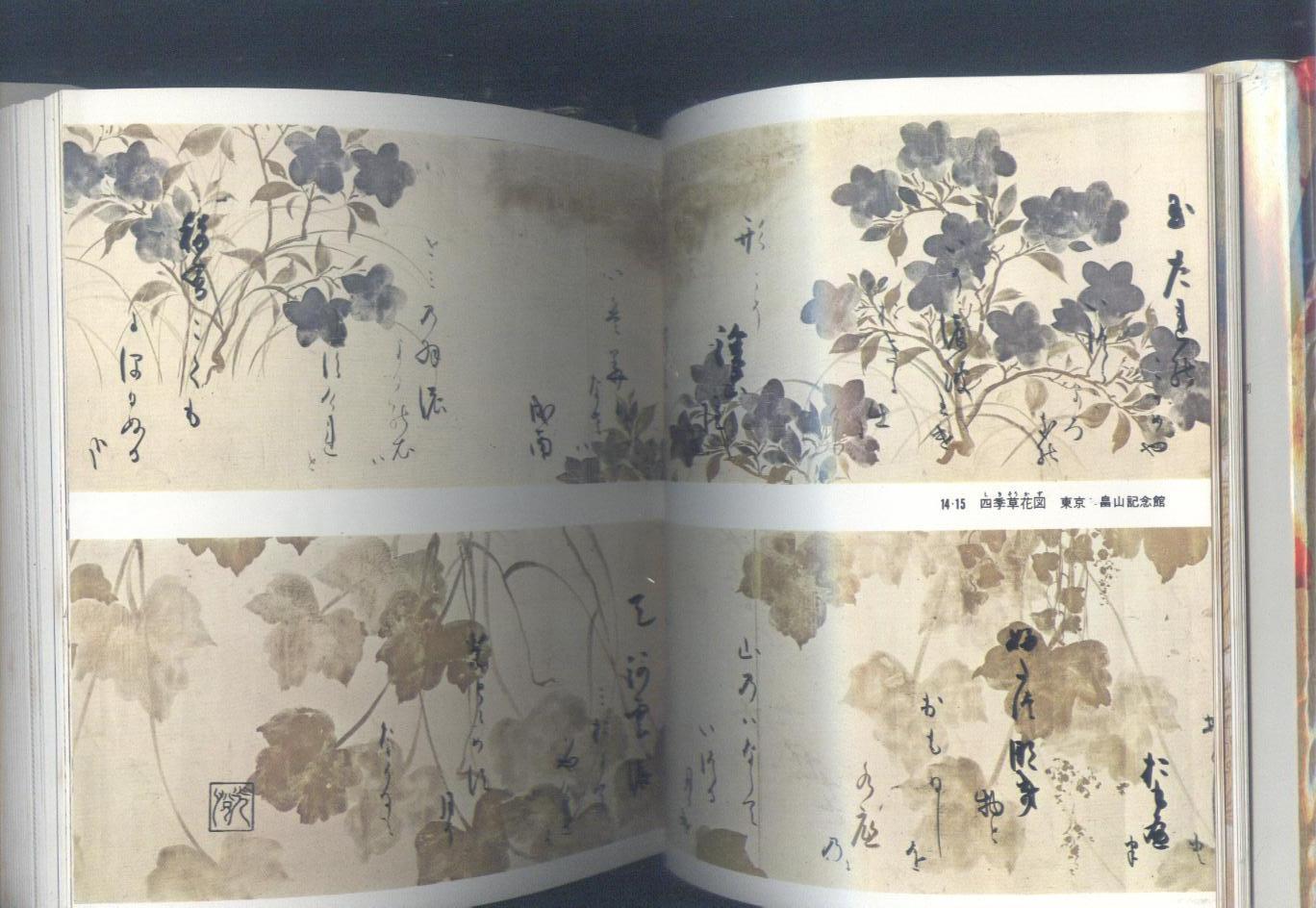 日本的美术 第18卷 宗达与光琳 小精装本 外有合