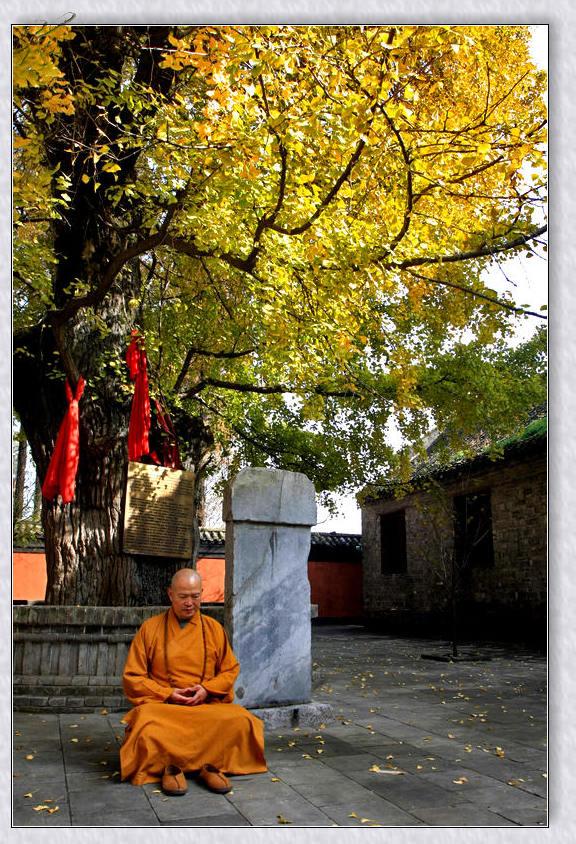 湖北襄阳市佛协会会长,襄阳市政协常委圣君法师墨宝