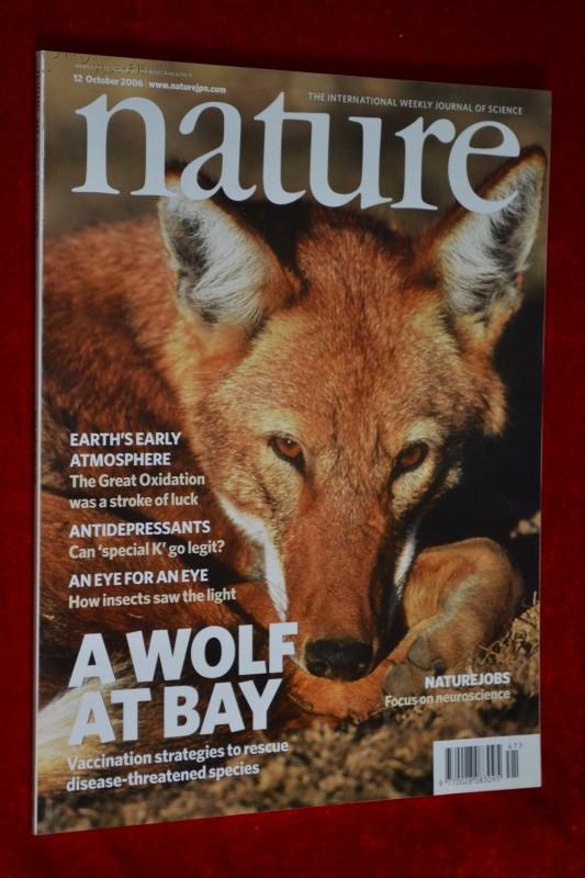 自然杂志期刊 nature 443 605-722 2006/10/12 no.7112 实体书
