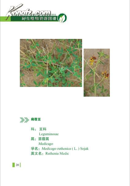 2891973wHTsp0_b.jpg