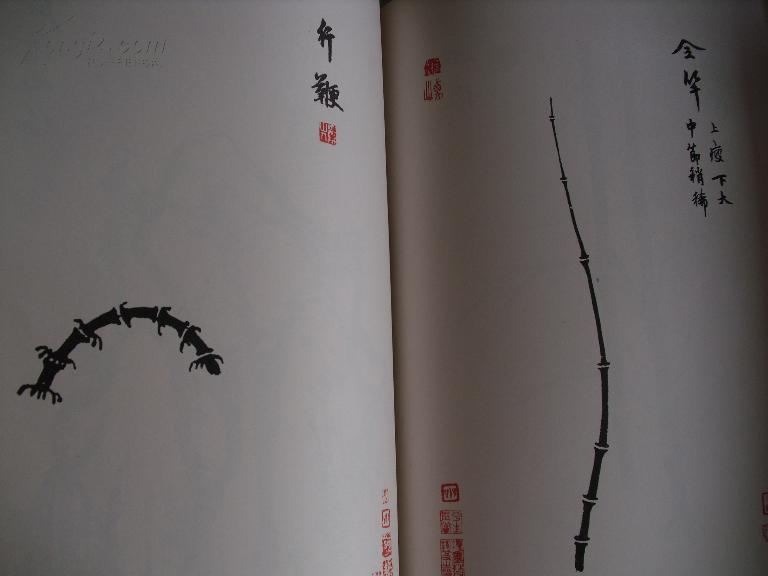 元柯九思墨竹画册及其竹谱