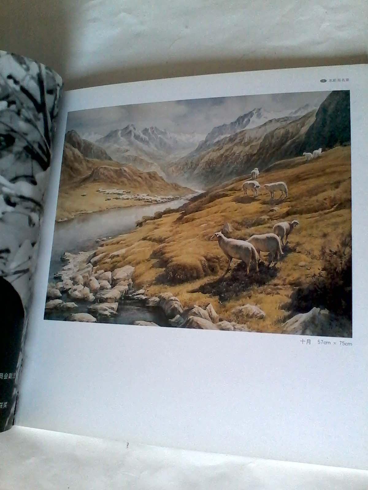 中国水彩画名家丛书齐大庆