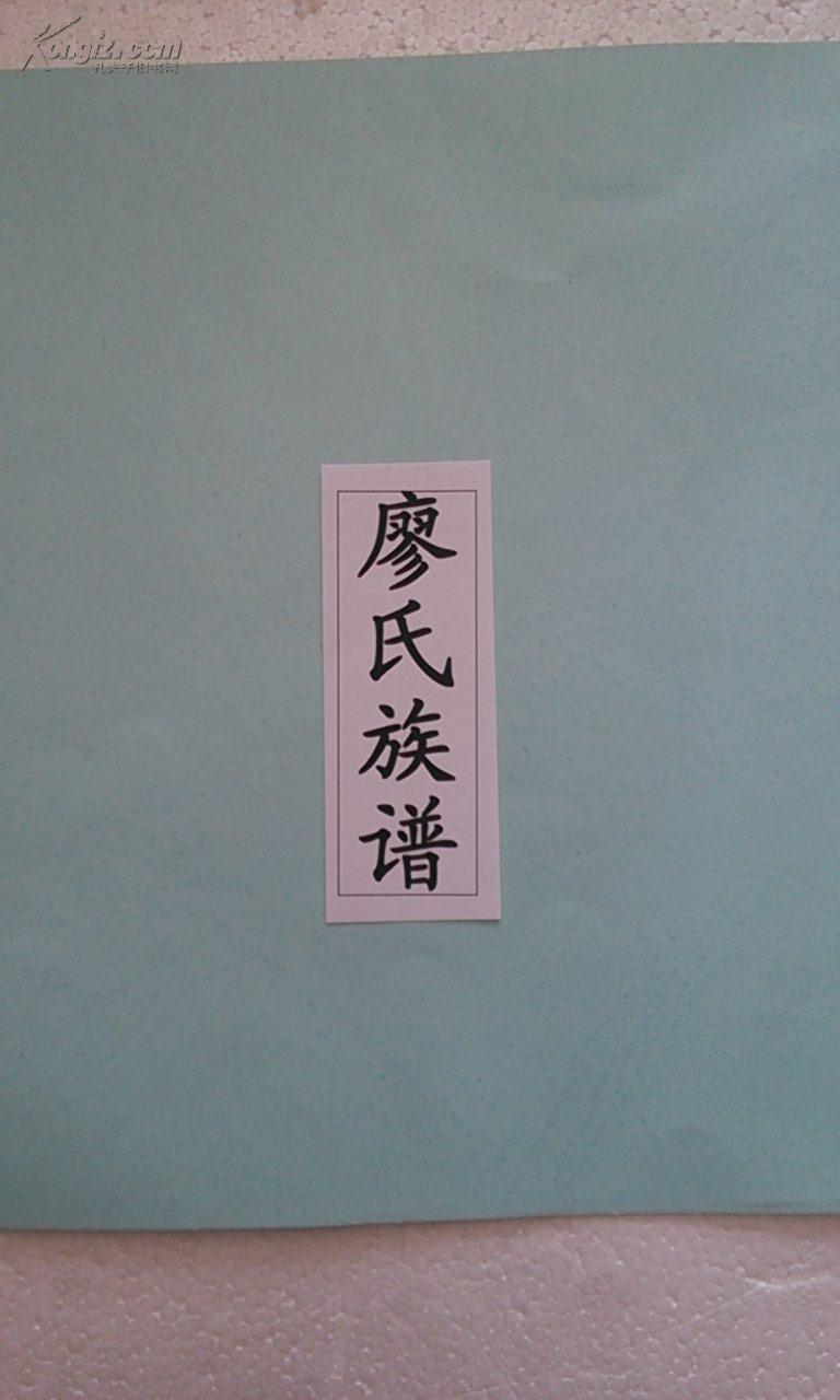 廖氏族谱 16开 1310页 民国十三年(1924年) 复印