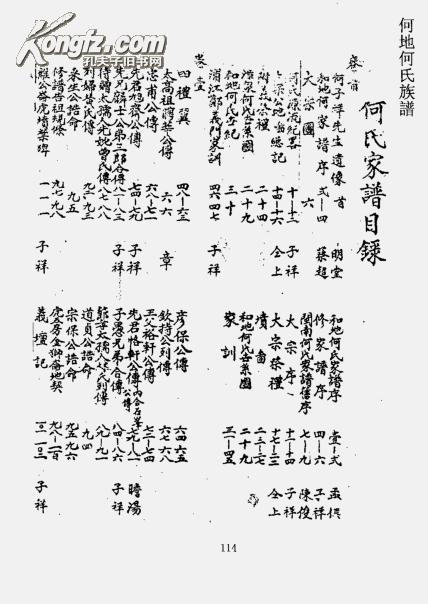 【复印件】何氏族谱 何地支 16开 356页 民国十七年版 (1928年)本